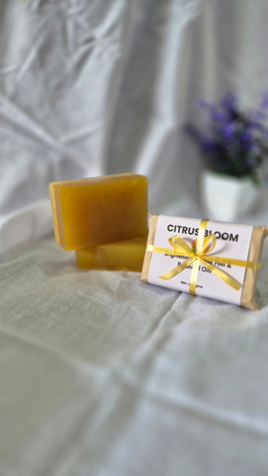 Citrus Bloom